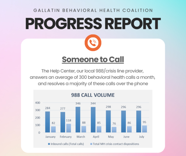 gallatin behavioral health coaltion progress report