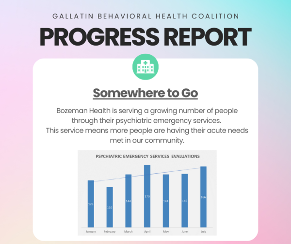gallatin behavioral health coaltion progress report